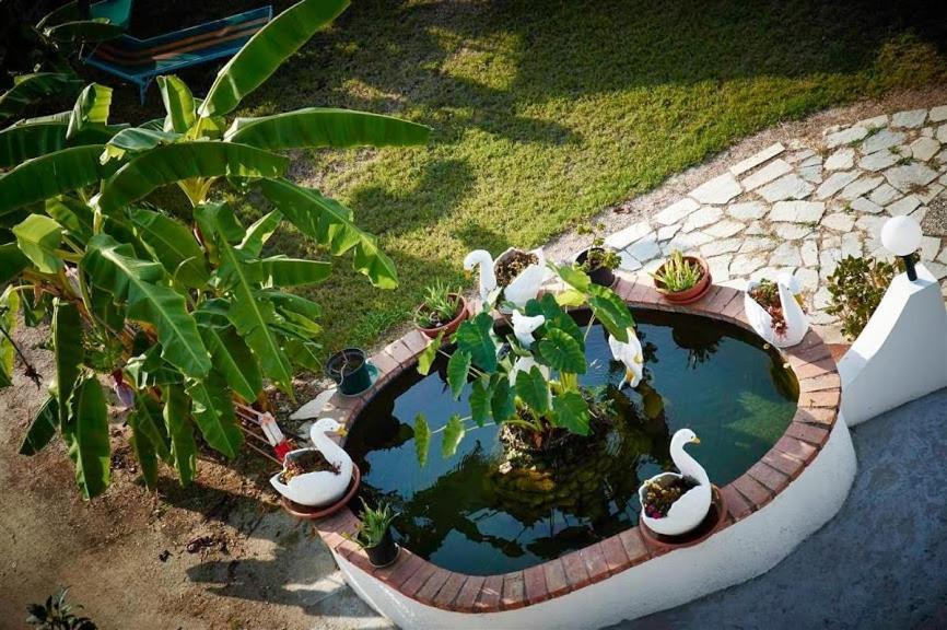 Case Vacanze Giardino Паргелия Экстерьер фото